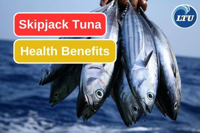 5 Reasons Why Skipjack Tuna Is Good For Your Health